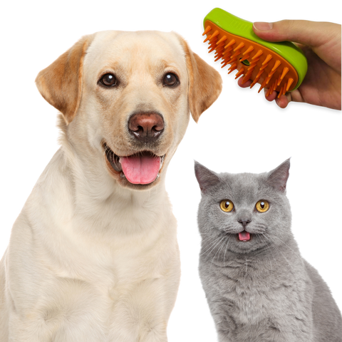 Cepillo a vapor para mascotas (Recargable ⚡)